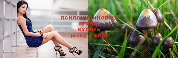 амфетамин Белокуриха