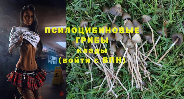 mdpv Балахна