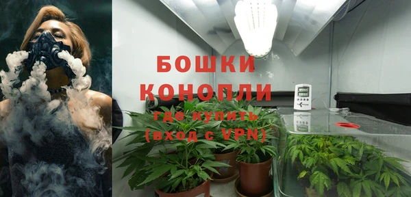 амфетамин Белокуриха